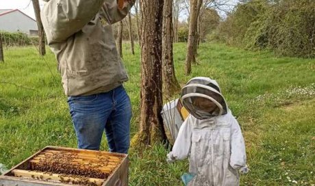 Visite d'exploitation apicole pour école à Savignac