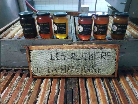 Recherche emplacements pour installation de ruches en Aquitaine 