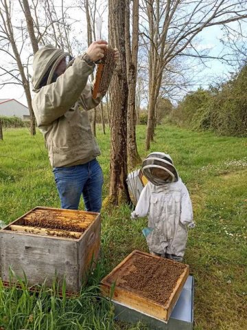 Visite d'exploitation apicole pour école à Savignac