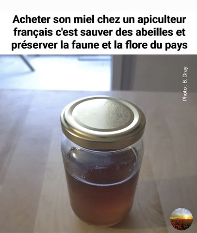 Acheter son miel chez un apiculteur local : un geste pour la nature à Savignac